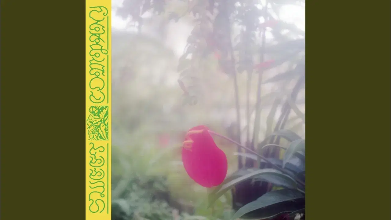Sweet Company - Jabu