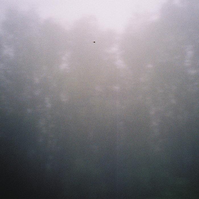 Fragments - Federica Deiana