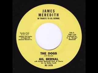 The Dogs / James - Gil Bernal