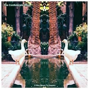 It Was Meant To Happen - The Confederate Dead