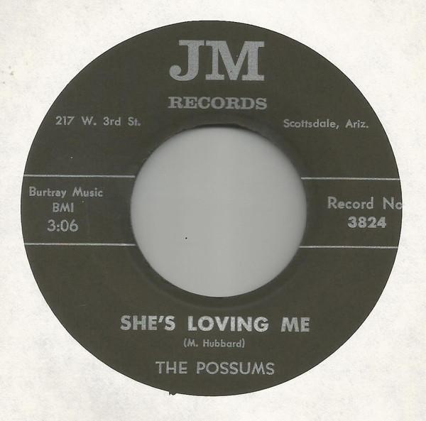She's Loving Me - The Possums