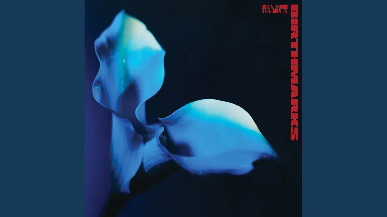Birthmarks - Bambara