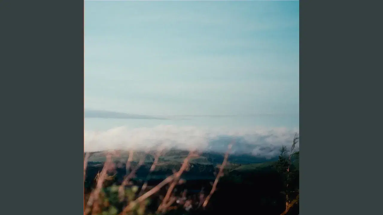  - PMDS