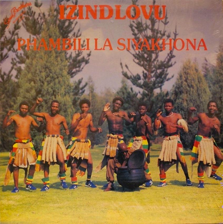 Phambili la Siyakhona - Izindlovu