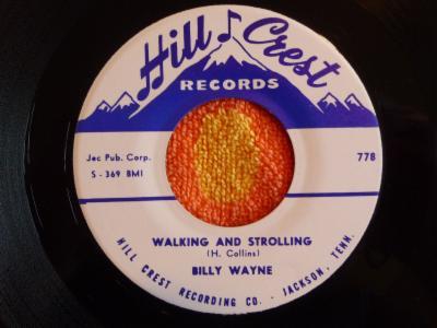 Walking And Strolling - Billy Wayne