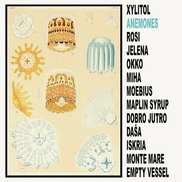 Anemones - Xylitol