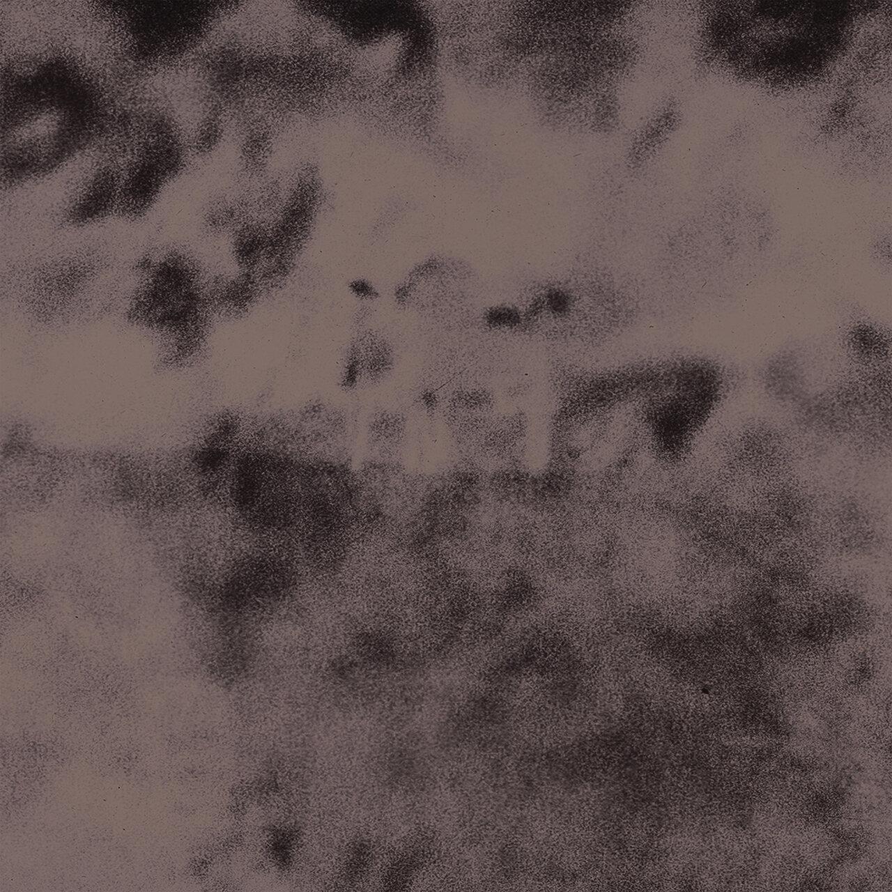Light Trespassing - The Humble Bee
