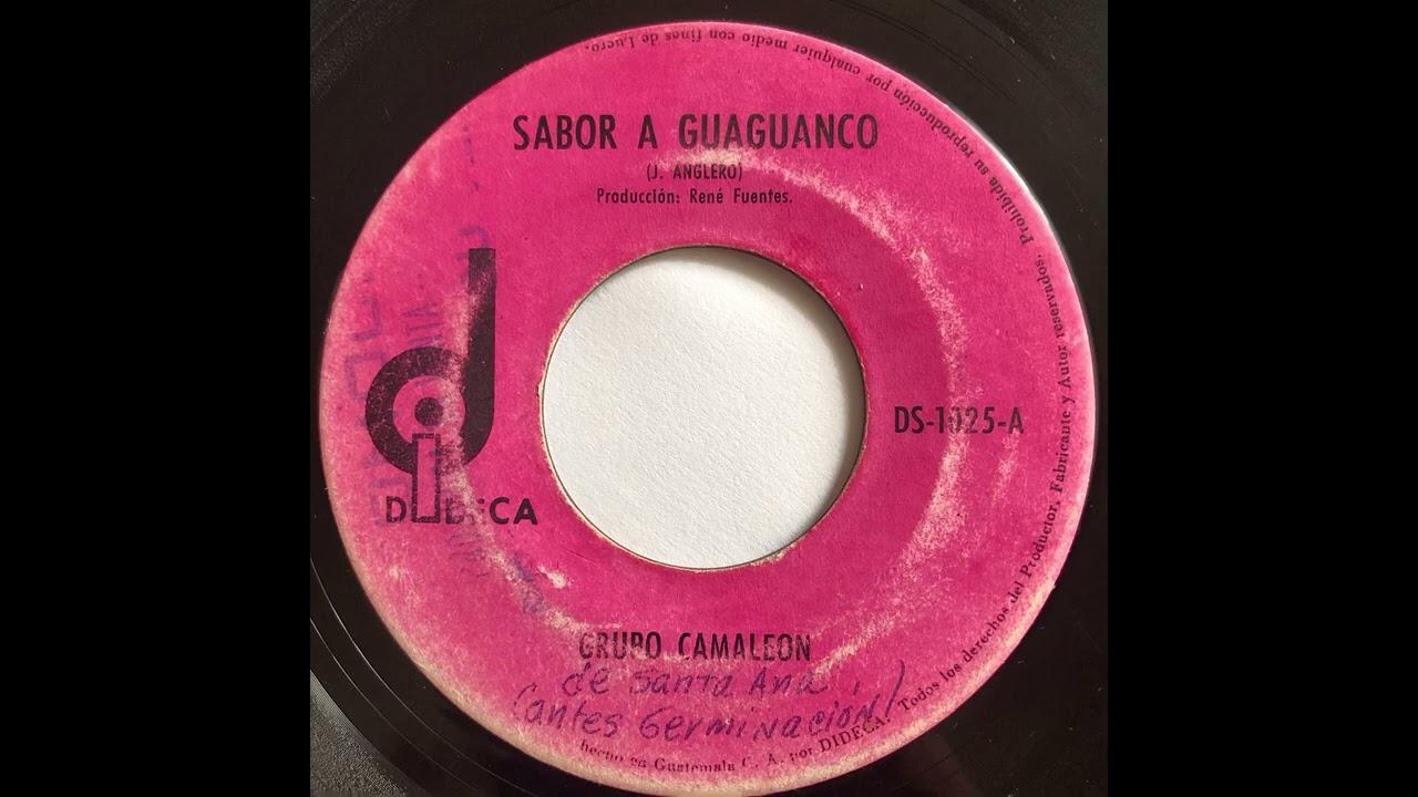  - Grupo Camaleon