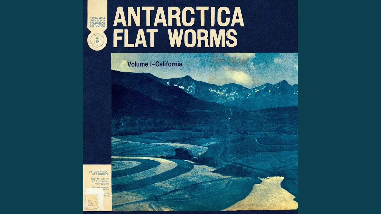 Live In Los Angeles - Flat Worms
