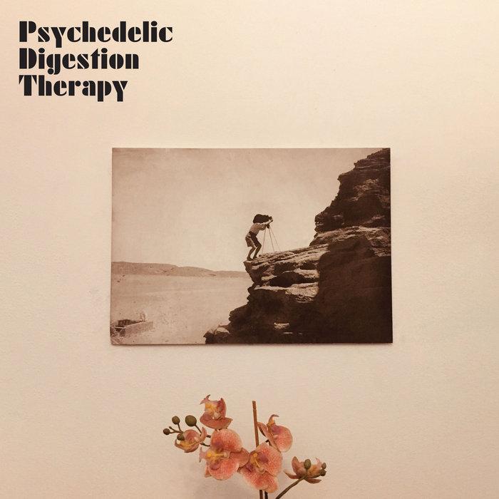 Psychedelic Digestion Therapy - Psychedelic Digestion Therapy