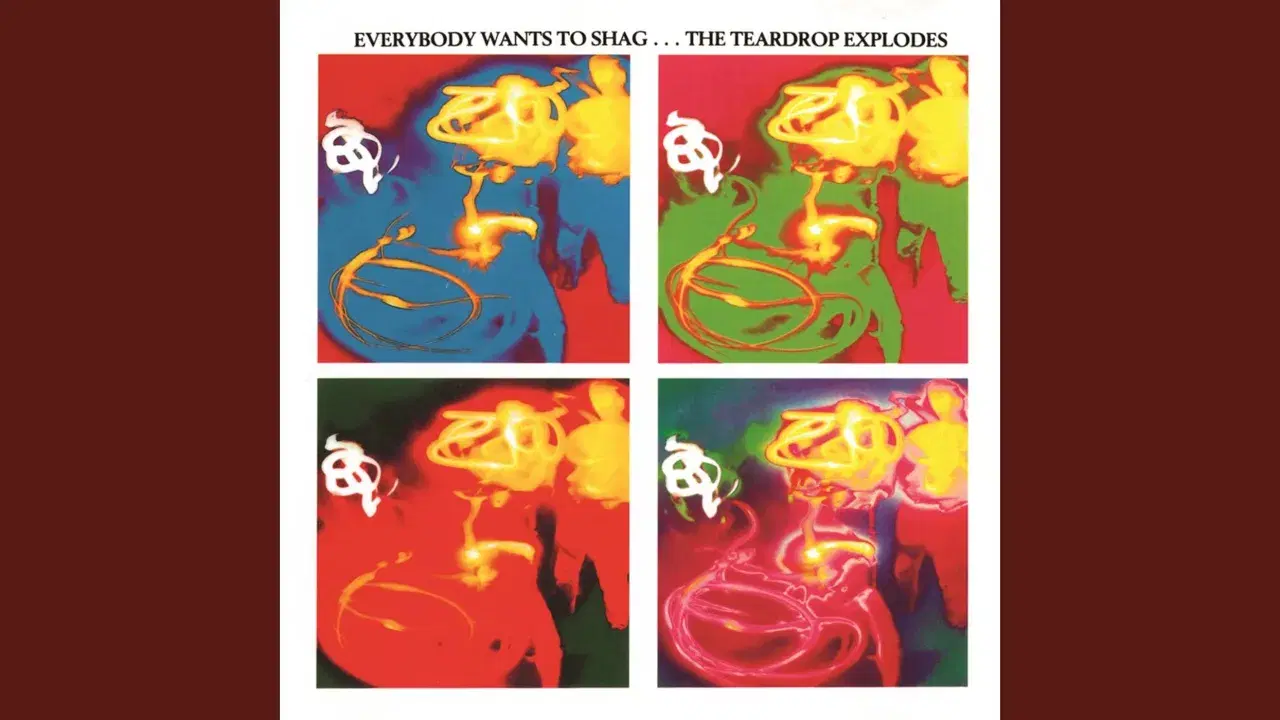 Everybody Wants To Shag... - The Teardrop Explodes