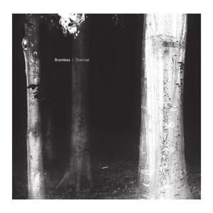 Charcoal - Brambles
