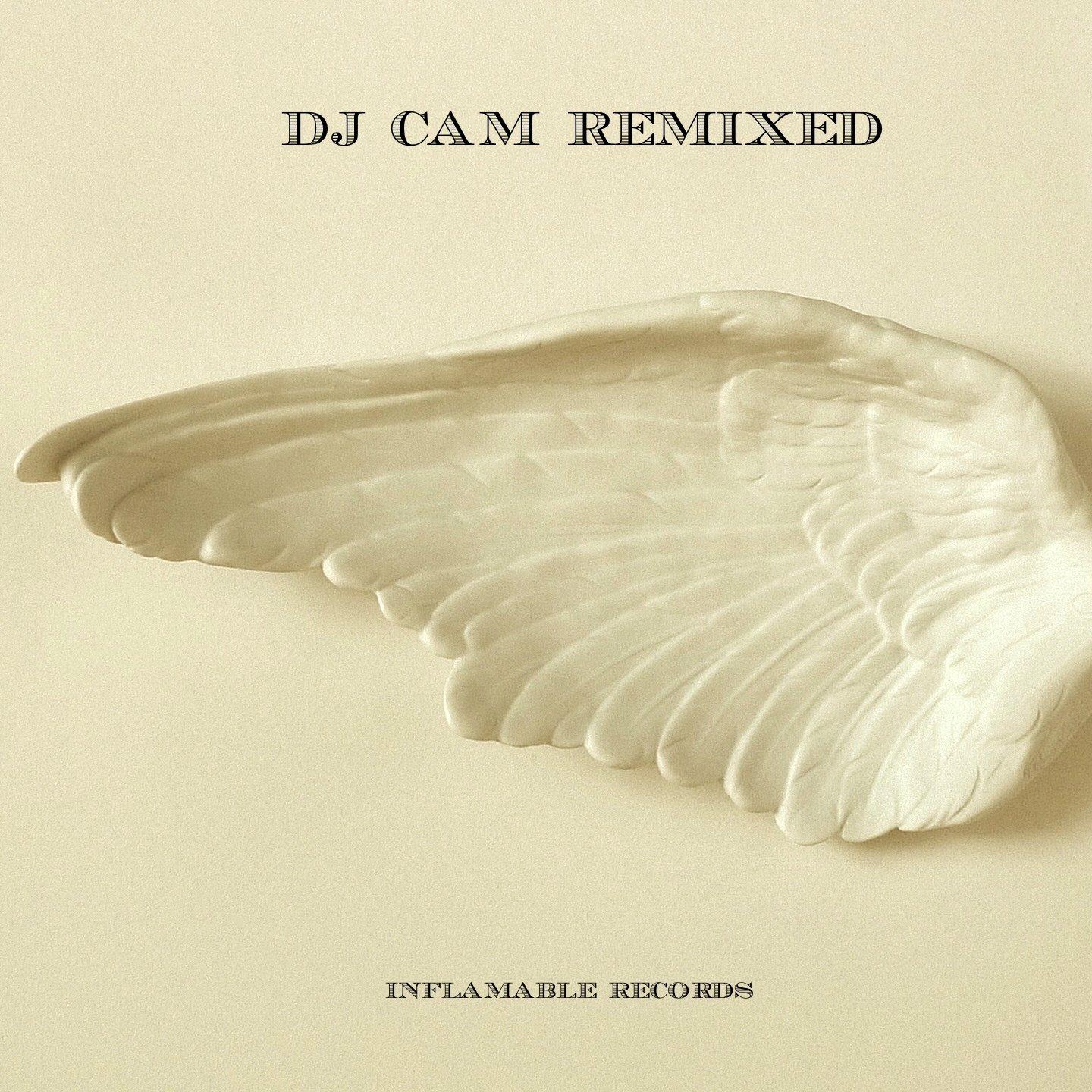 Remixed - DJ Cam
