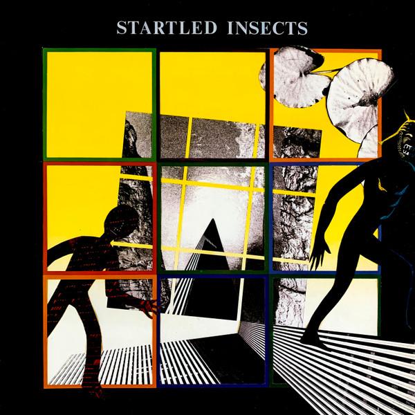 Startled Insects - Startled Insects