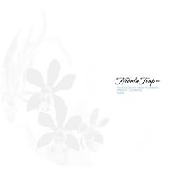 Nebula Trap EP - Arne Weinberg