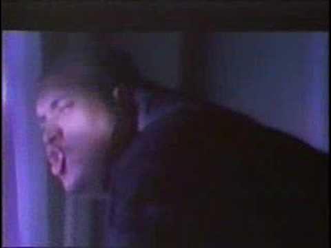 Back To The Hip-Hop / Pure - The Troubleneck Brothers