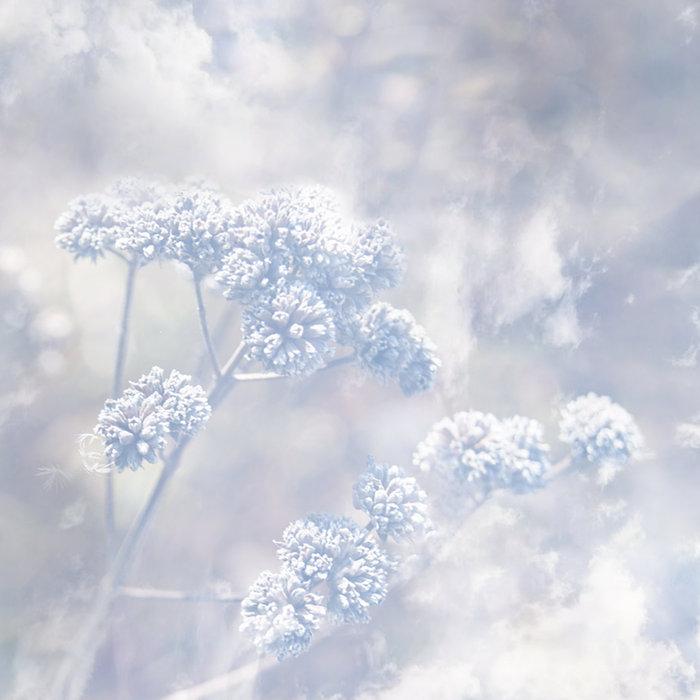 Frozen Passages - Poemme