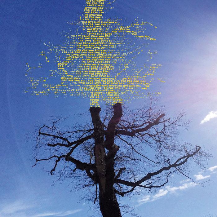 Rooting For Love - Laetitia Sadier