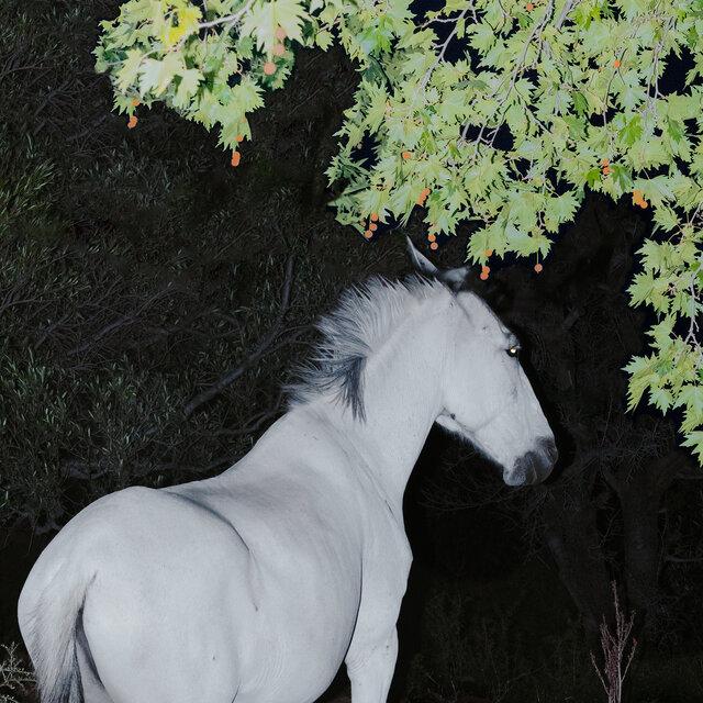 Saisons - Mouvement 2 - Saisons
