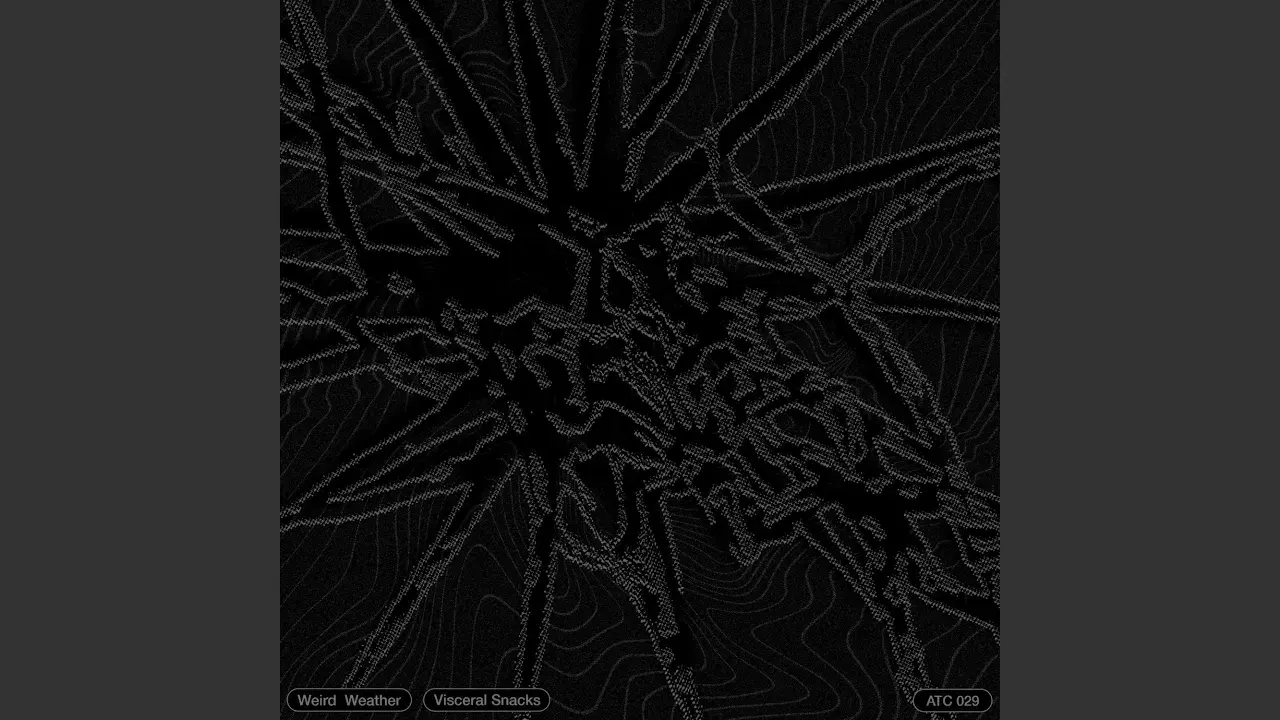 Visceral Snacks - Weird Weather