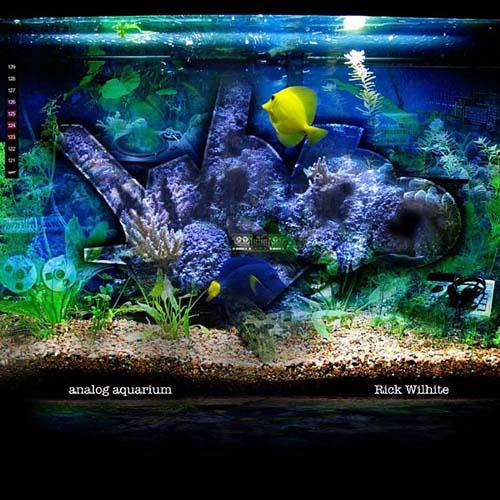 Analog Aquarium - Theo Parrish & Osunlade & Rick Wilhite Feat. Billy Love