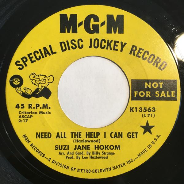 Need All The Help I Can Get - Suzi Jane Hokom