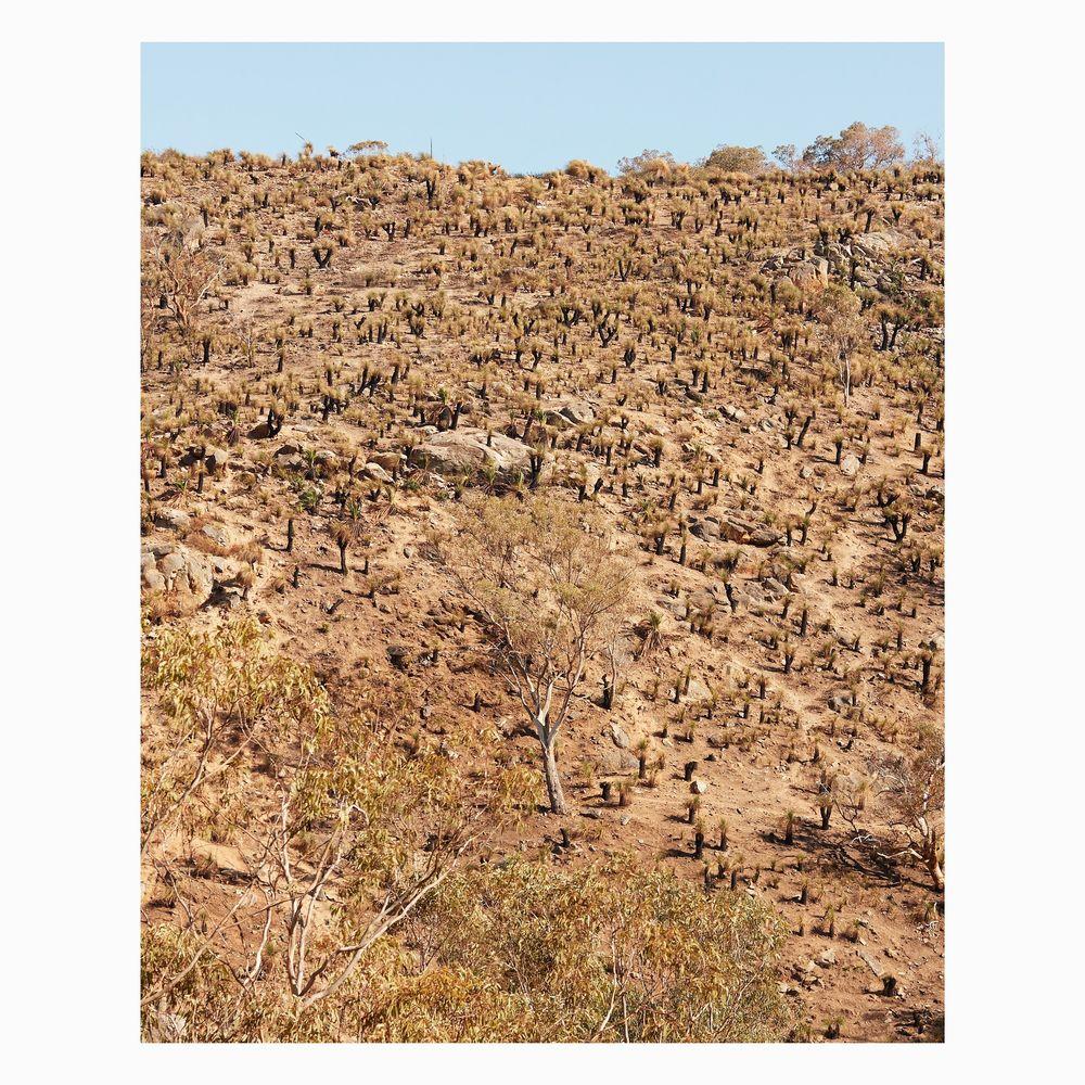 Palimpsests - Andrew Pekler, Giuseppe Ielasi