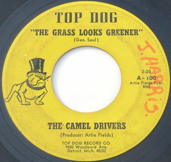  - The Camel Drivers