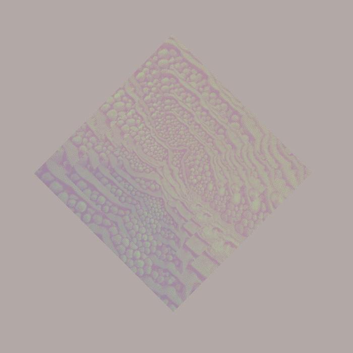 Cave Ritual  - Al Lover