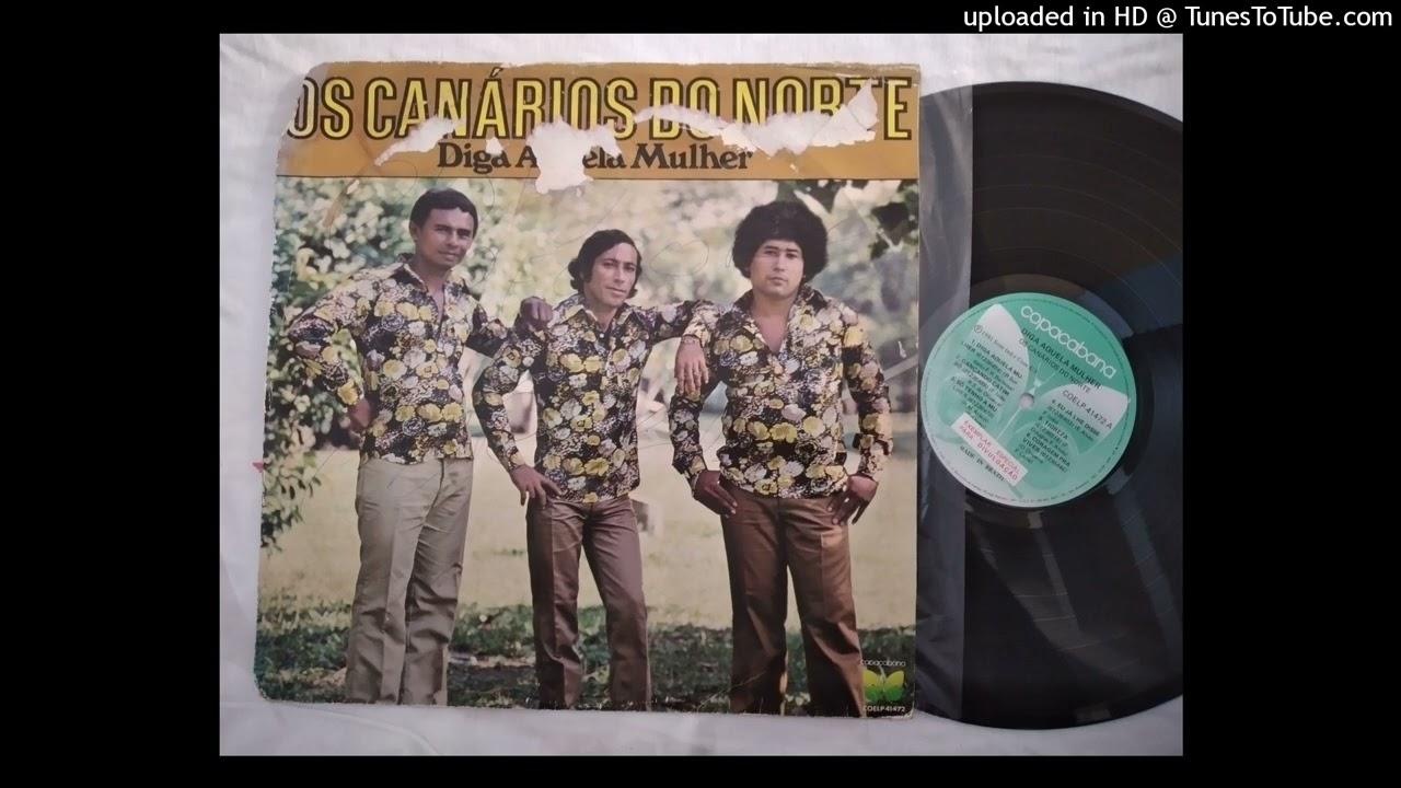  - Os Canarios do Norte