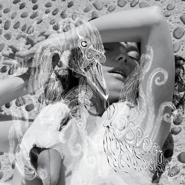 Hidden Place - Björk