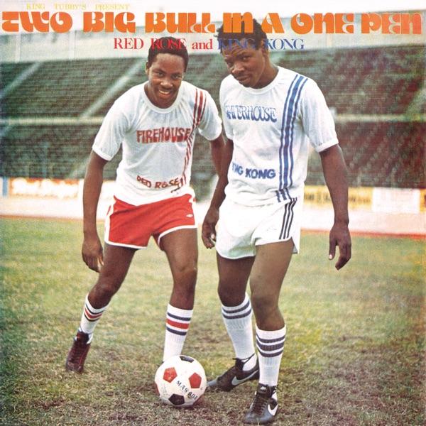 King Tubby's Present: Two Big Bull In A One Pen - Anthony Red Rose & King Kong