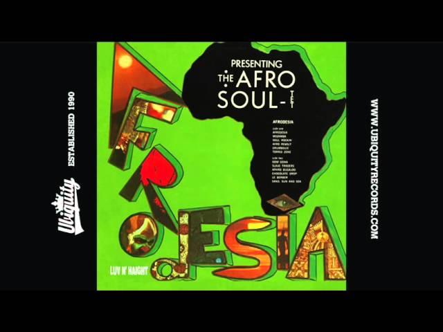Afrodesia - The Afro Soul-Tet