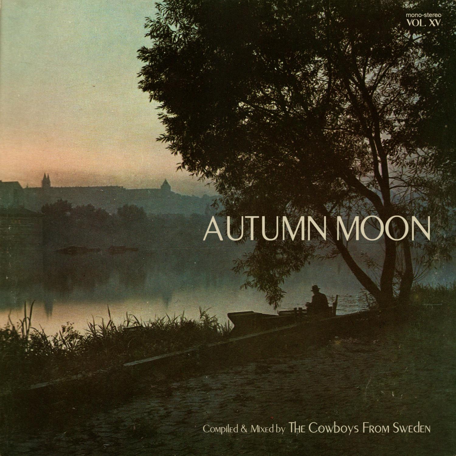 Patchwork Orchestra 3 - Vladimir Cosma & Michel Bernholc