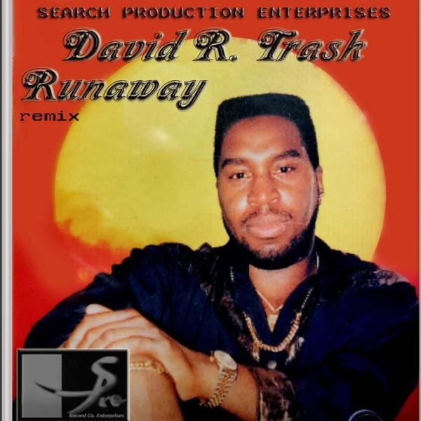 Runaway (remix) - David R. Trask
