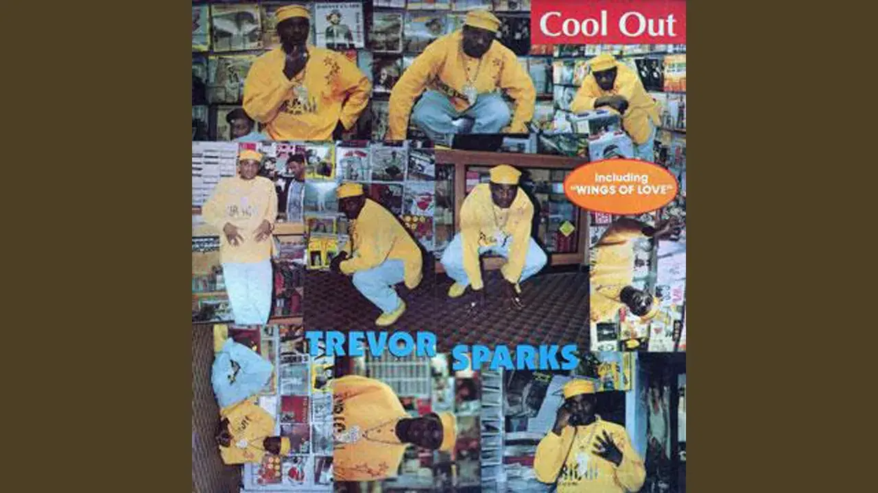 Cool Out - Trevor Sparks