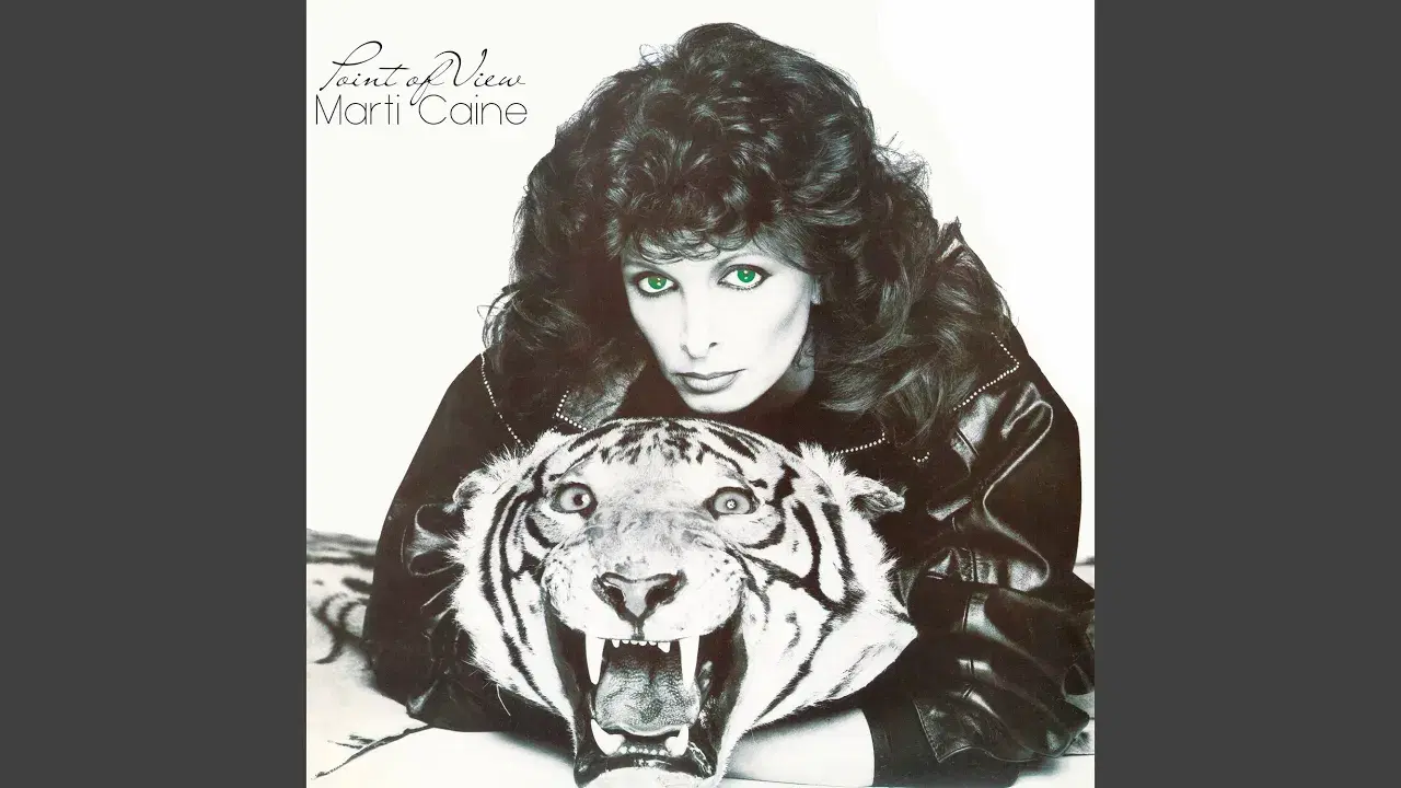 Point Of View - Marti Cane