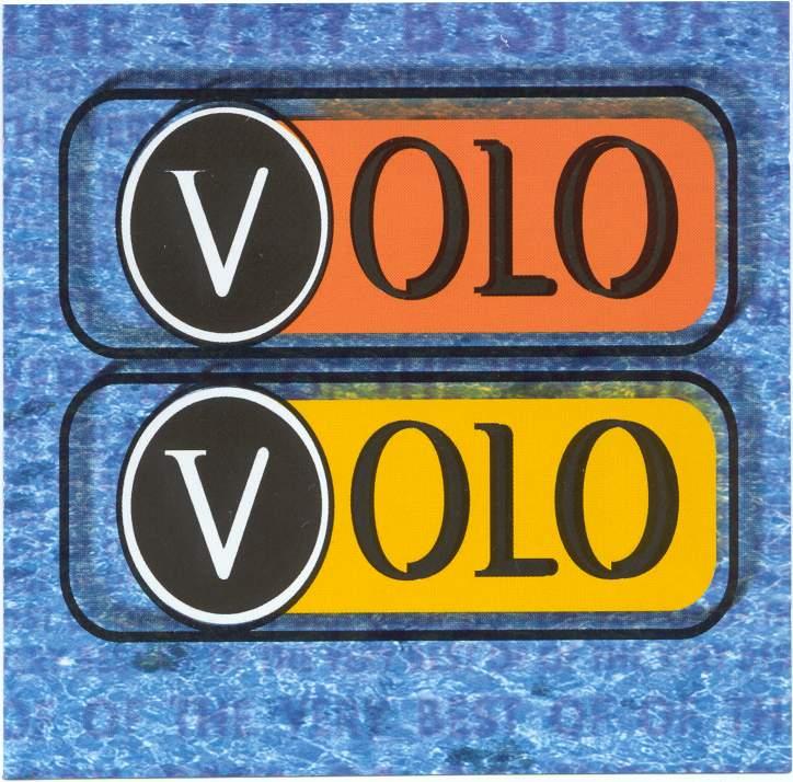 14 Karat Gold - VOLO VOLO