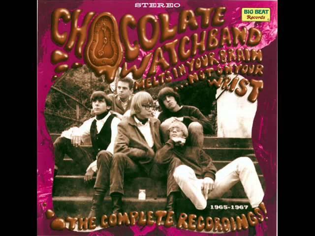  - Chocolate Watch Band