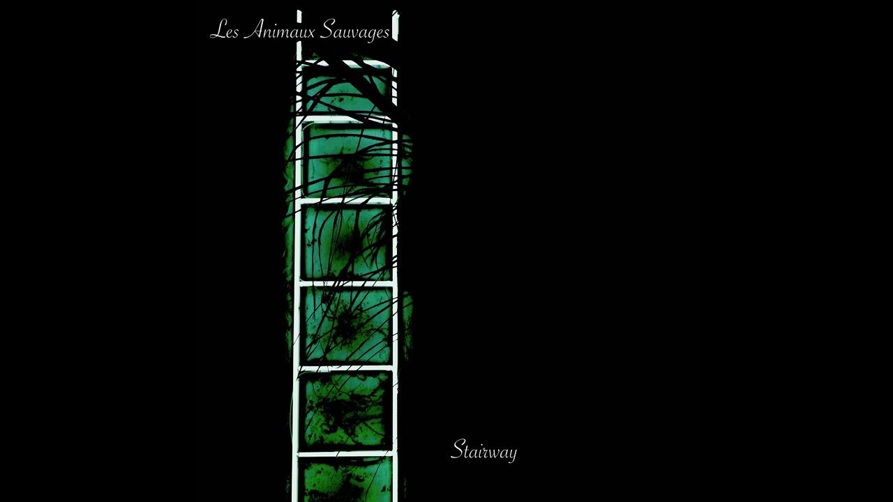 Stairway - Les Animaux Sauvages