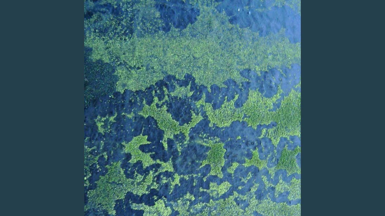 Submerged - Jana Winderen