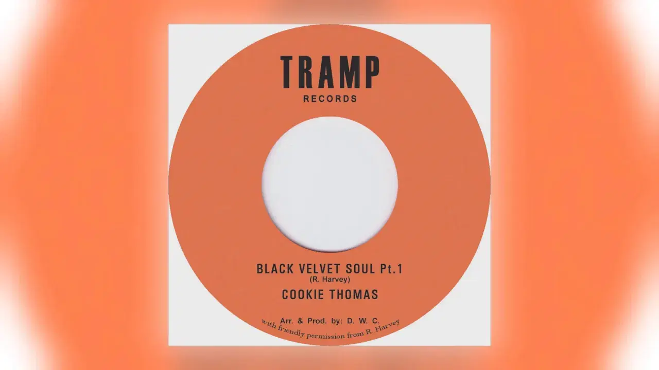 Black Velvet Soul - Cookie Thomas & The C.T. Band