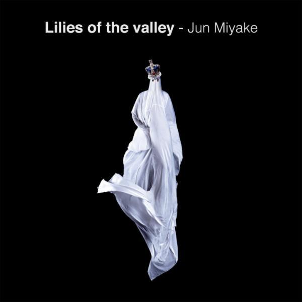 Stolen From Strangers - Jun Miyake