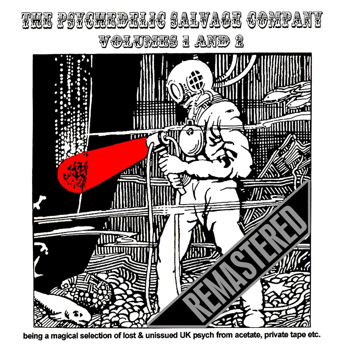 The Psychedelic Salvage Company Volumes 1 & 2 - Remastered - The Roland Kovac Set