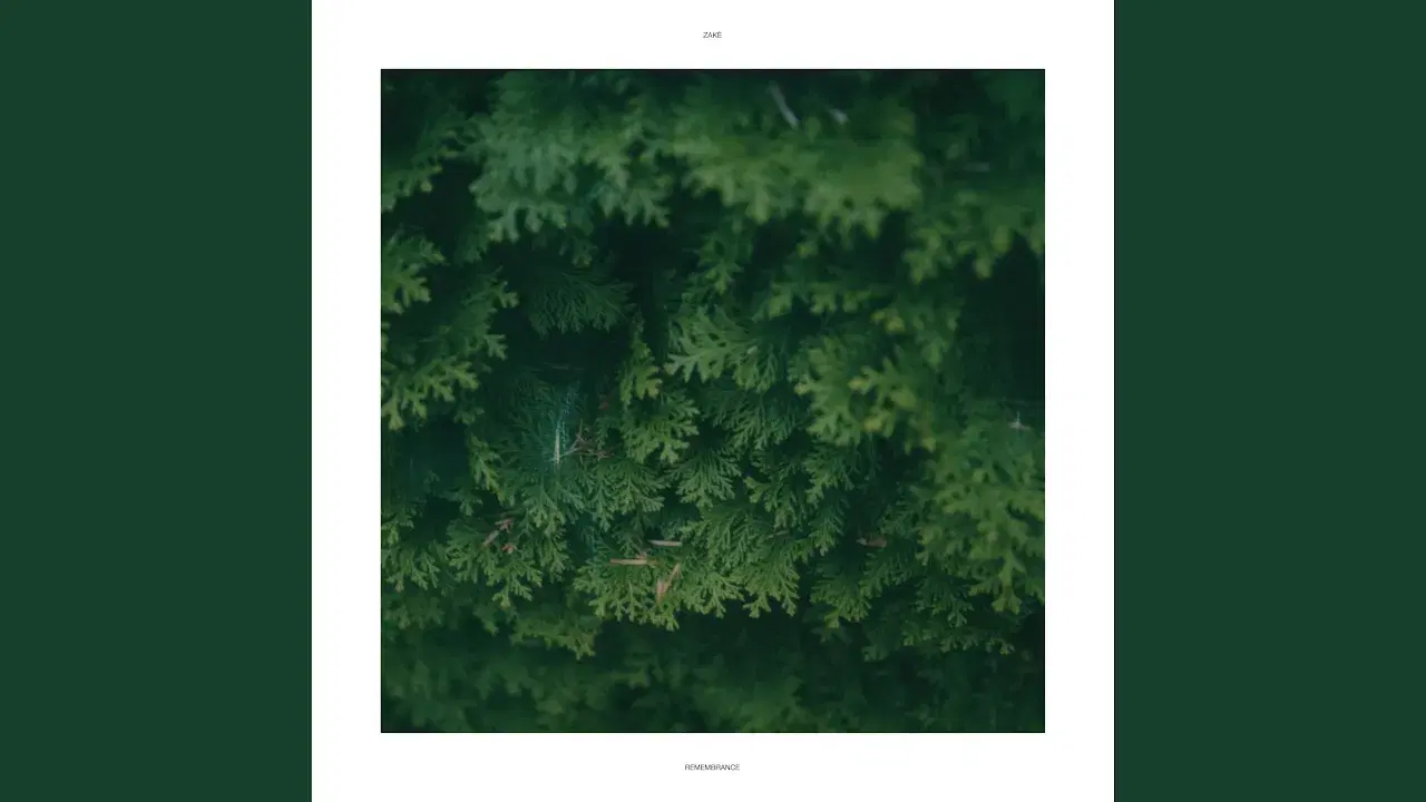 Remembrance - zakè & Benoît Pioulard