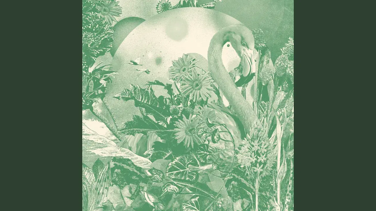 Serendipia - John Beltran