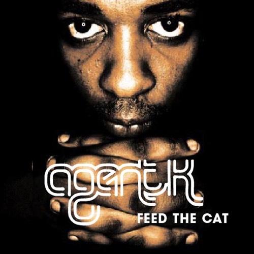 Feed The Cat - Agent K