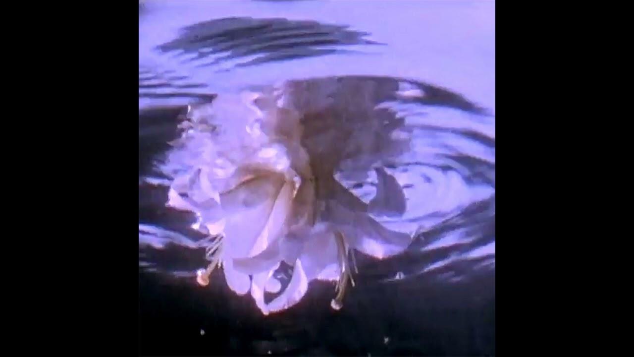 Autumn Romance - vcr-classique