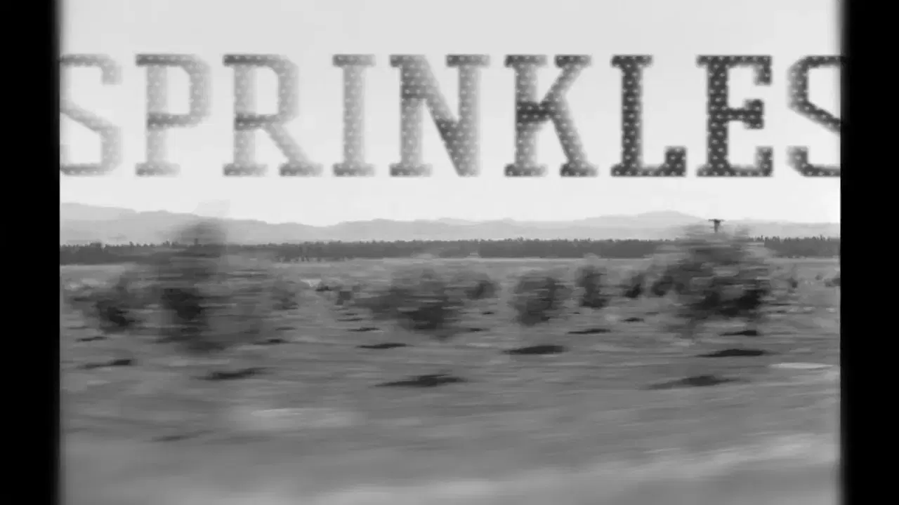 Mule Electronic presents Enjoy The Silence - Dj Sprinkles a.k.a. Terre Thaemlitz