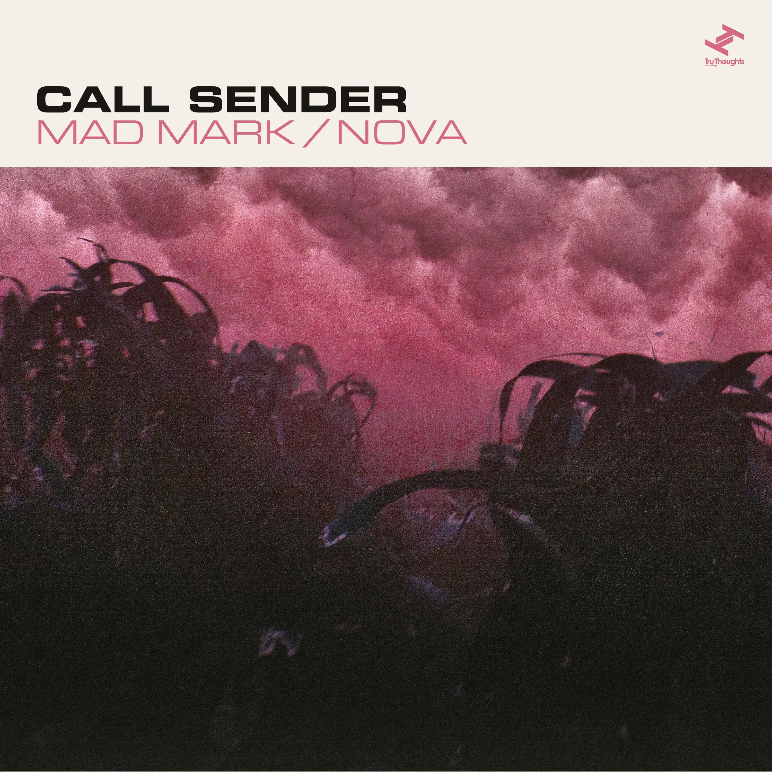 Lost To The Storm - Call Sender